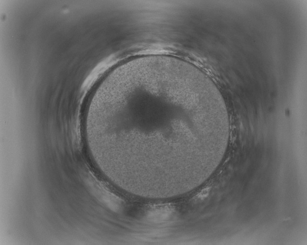 X0000078860296200611271418