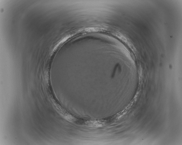 X0000078860297200611271418