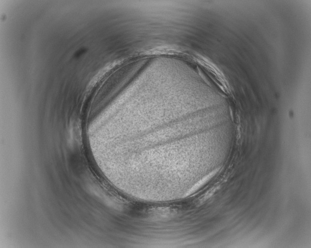 X0000078860298200611271418