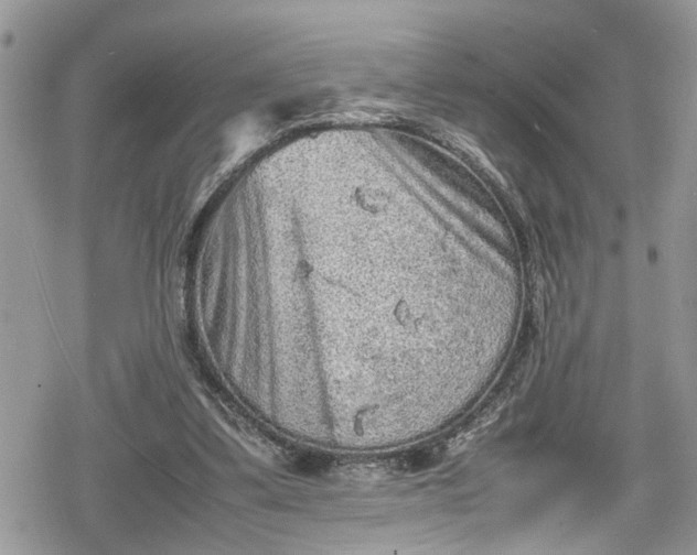 X0000078860299200611271418