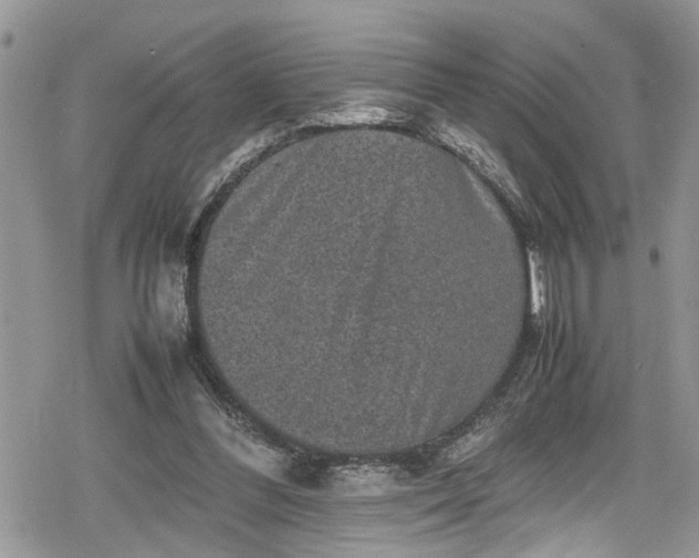 X0000078860300200611271418