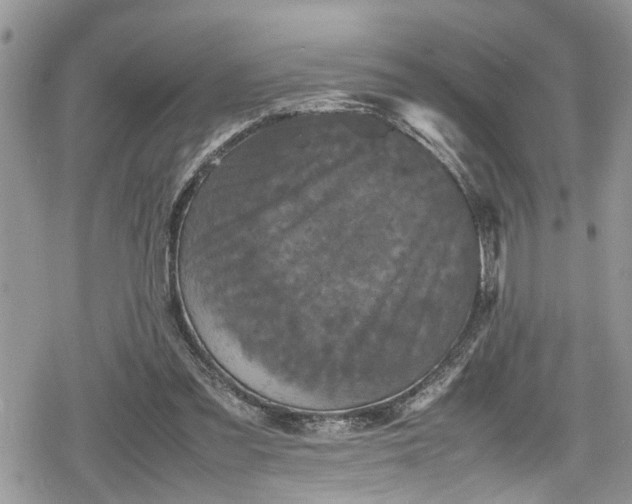 X0000078860301200611271418