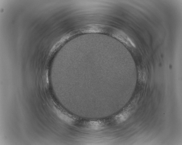 X0000078860302200611271418