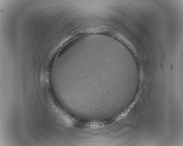 X0000078860305200611271418