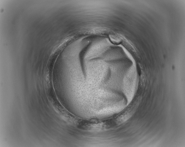 X0000078860306200611271418