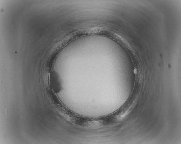 X0000078860307200611271418