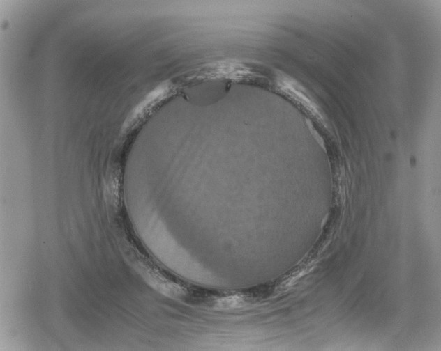 X0000078860309200611271418