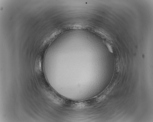 X0000078860310200611271418