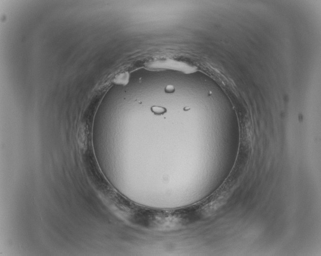 X0000078860311200611271418