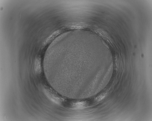 X0000078860312200611271418