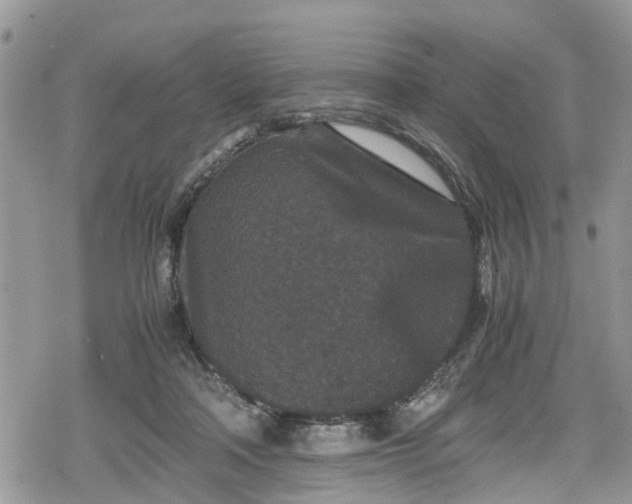 X0000078860314200611271418