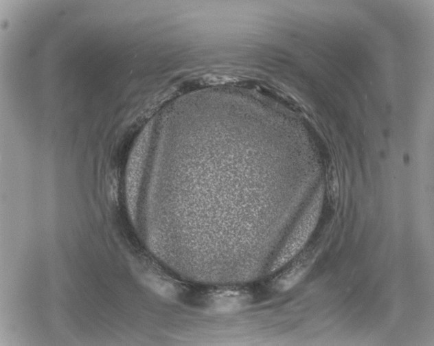 X0000078860315200611271418