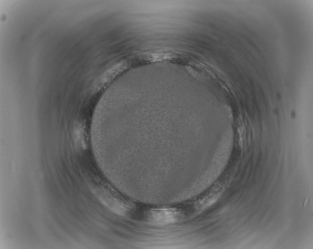 X0000078860316200611271418