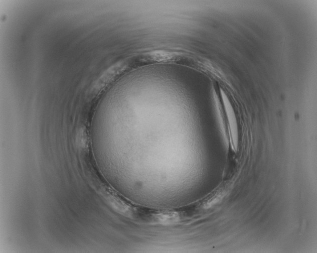 X0000078860317200611271418