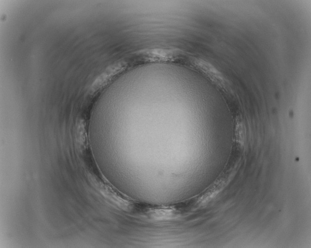 X0000078860318200611271418