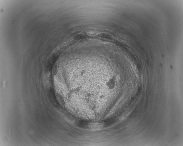 X0000078860319200611271418