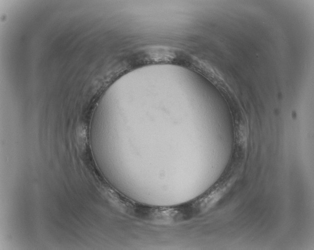 X0000078860321200611271418