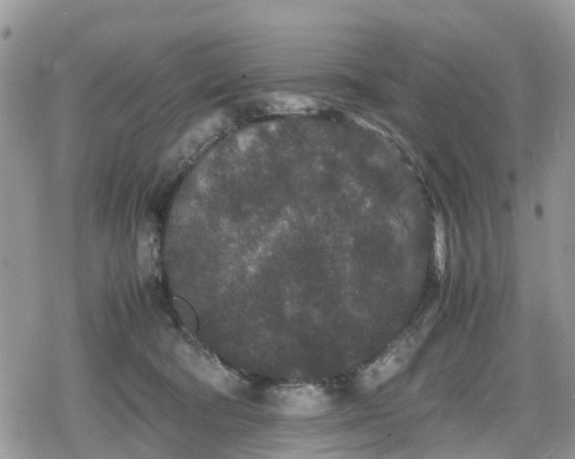 X0000078860322200611271418