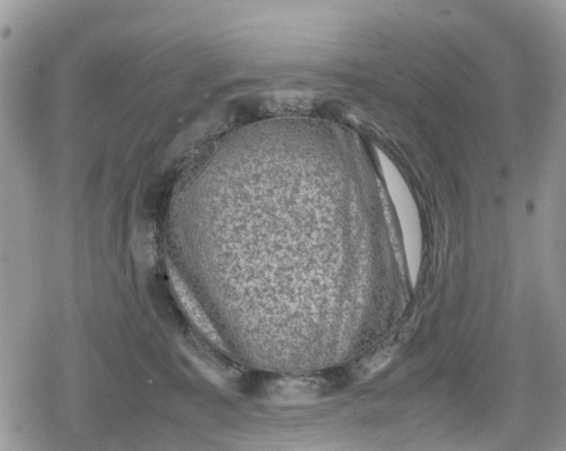 X0000078860323200611271418