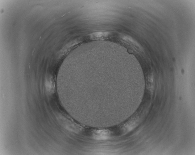 X0000078860324200611271418