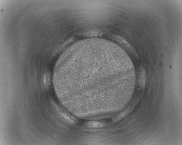 X0000078860326200611271418