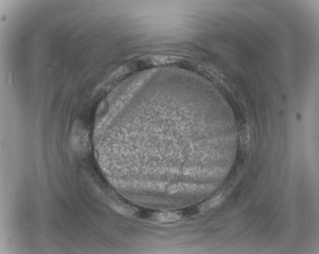 X0000078860327200611271418