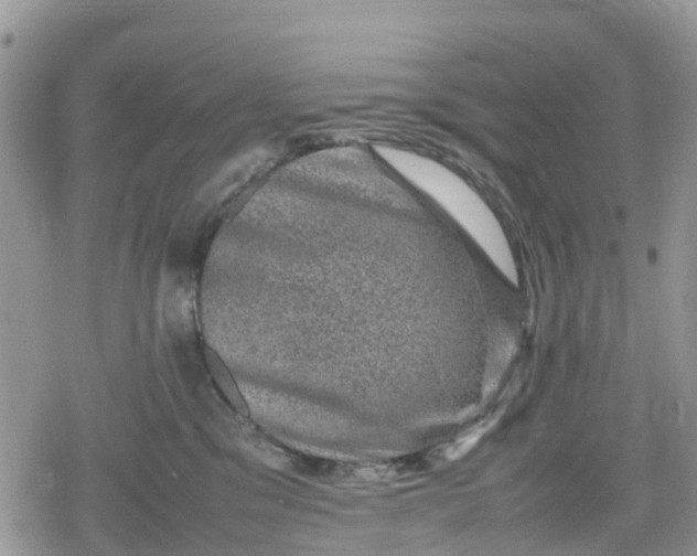 X0000078860329200611271418