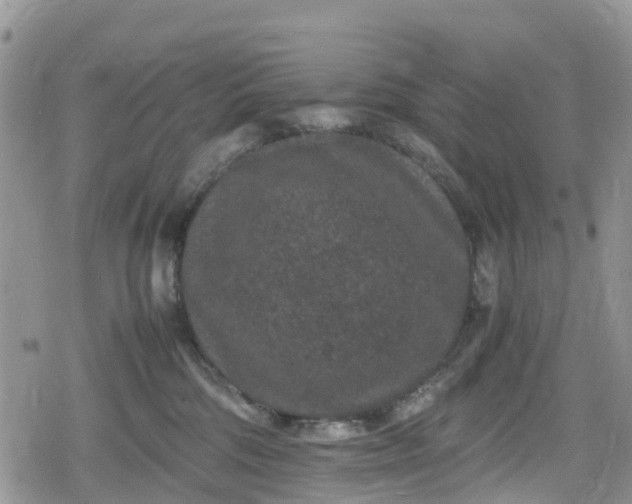 X0000078860330200611271418