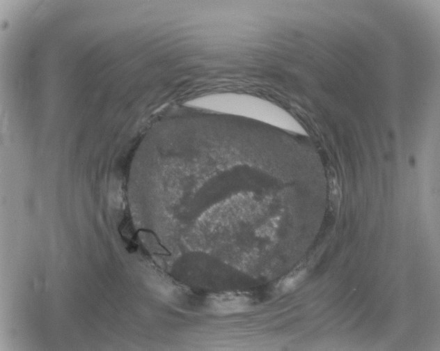 X0000078860331200611271418