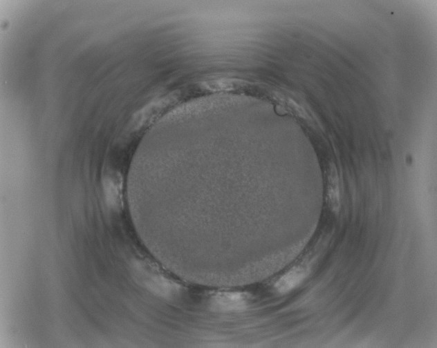 X0000078860332200611271418