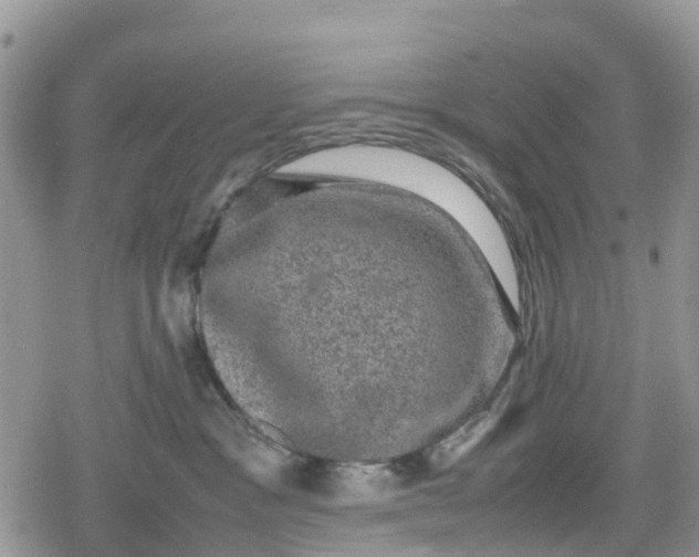 X0000078860333200611271418