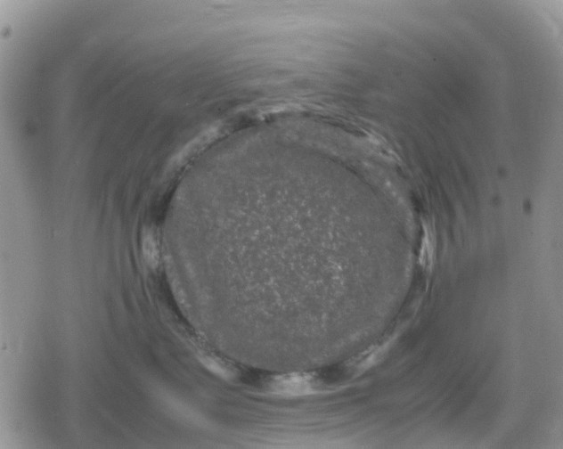 X0000078860335200611271418