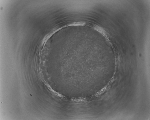 X0000078860337200611271417