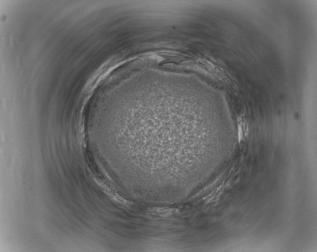 X0000078860339200611271417