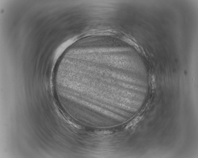 X0000078860340200611271417