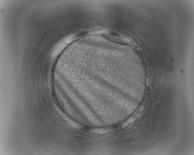 X0000078860341200611271417