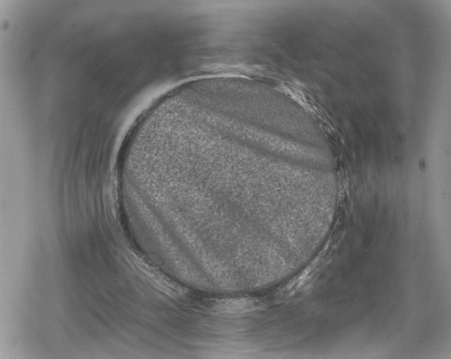 X0000078860342200611271417