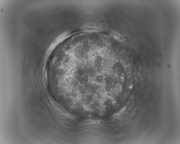 X0000078860343200611271417