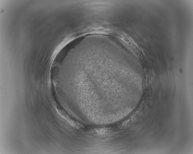 X0000078860344200611271417