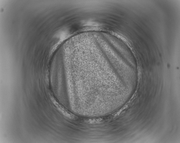 X0000078860345200611271417