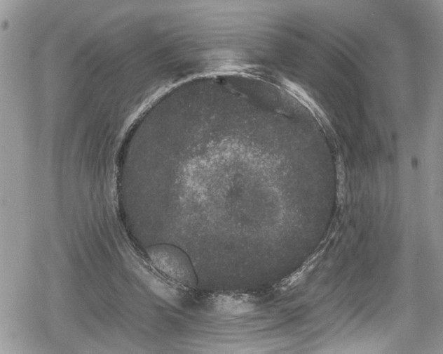 X0000078860346200611271417