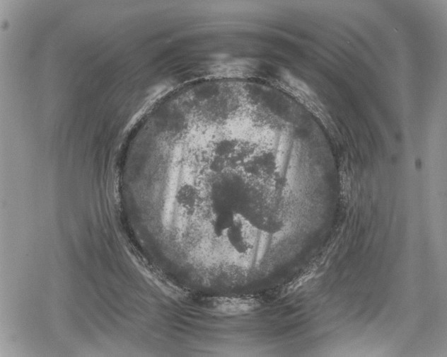 X0000078860347200611271417