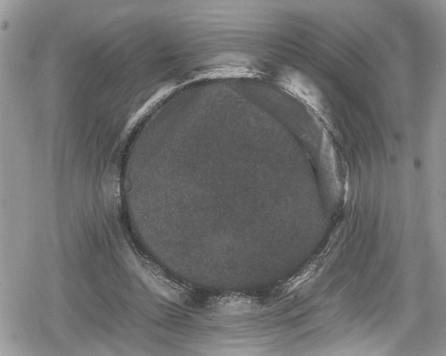 X0000078860348200611271417