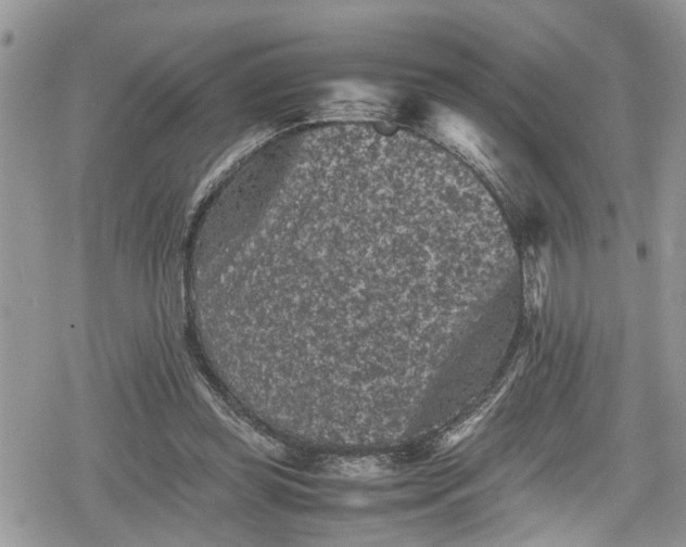 X0000078860349200611271417