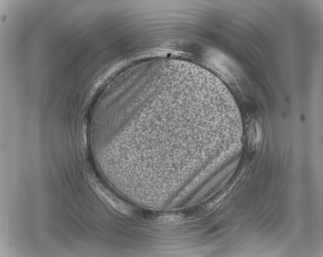 X0000078860350200611271417