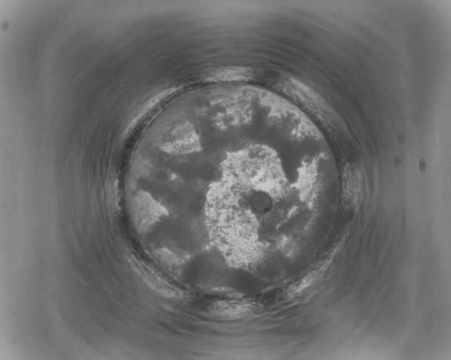 X0000078860351200611271417