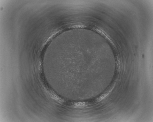 X0000078860355200611271417