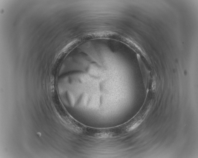 X0000078860356200611271417