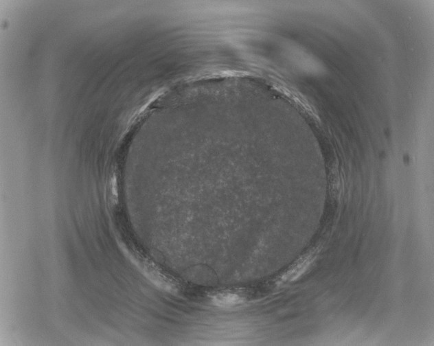 X0000078860358200611271417