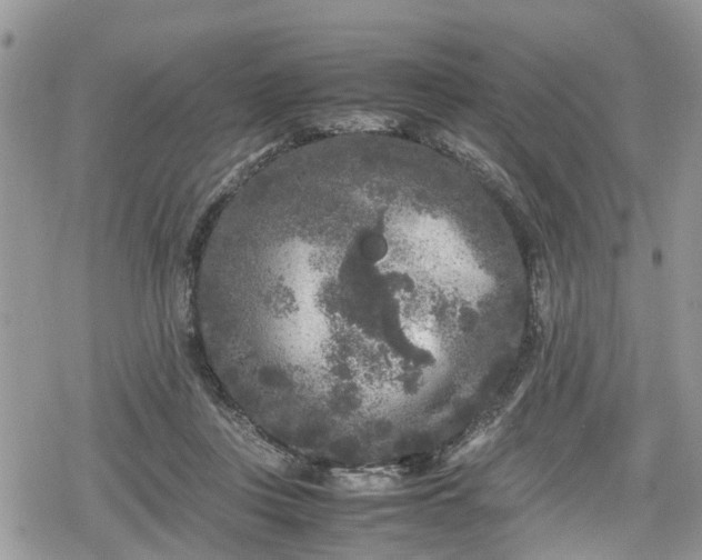 X0000078860359200611271417